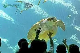 Grand Aquarium